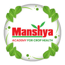 Manshya Marketing